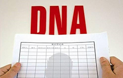泉州医院DNA鉴定如何做【2023最新整理】